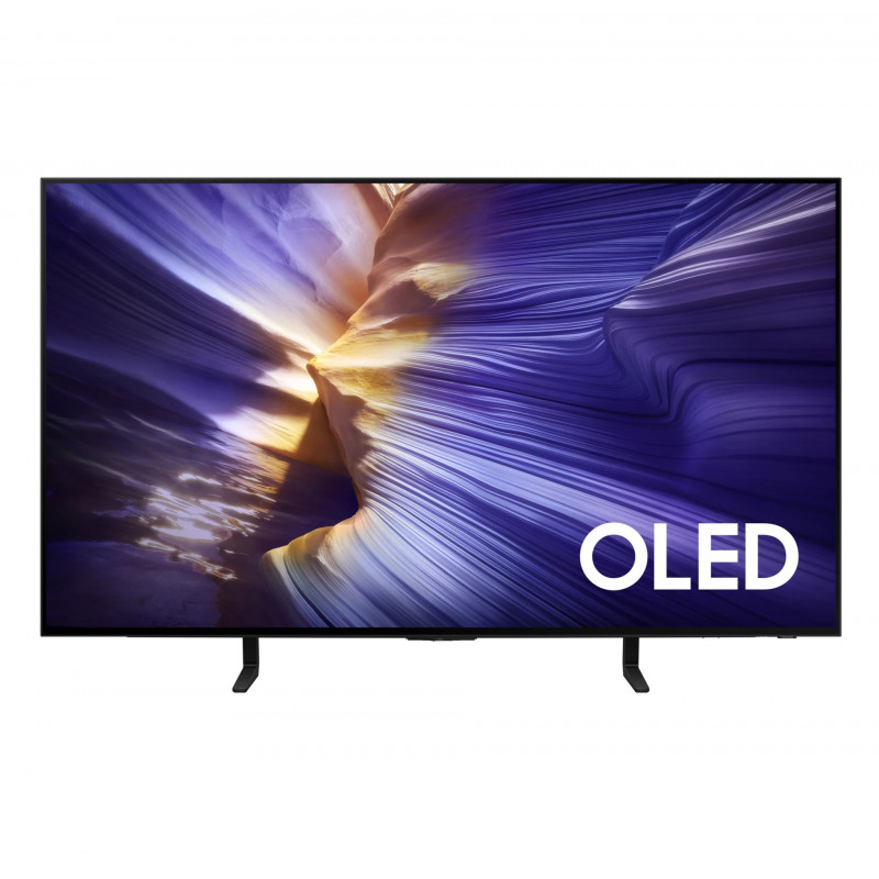 Հեռուստացույց Samsung QE48S90FAEXRU